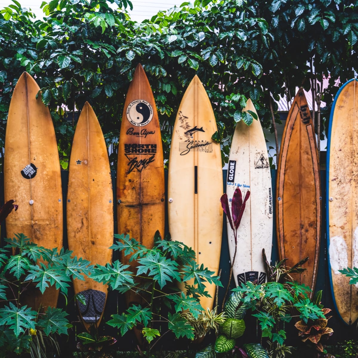 Surfboards